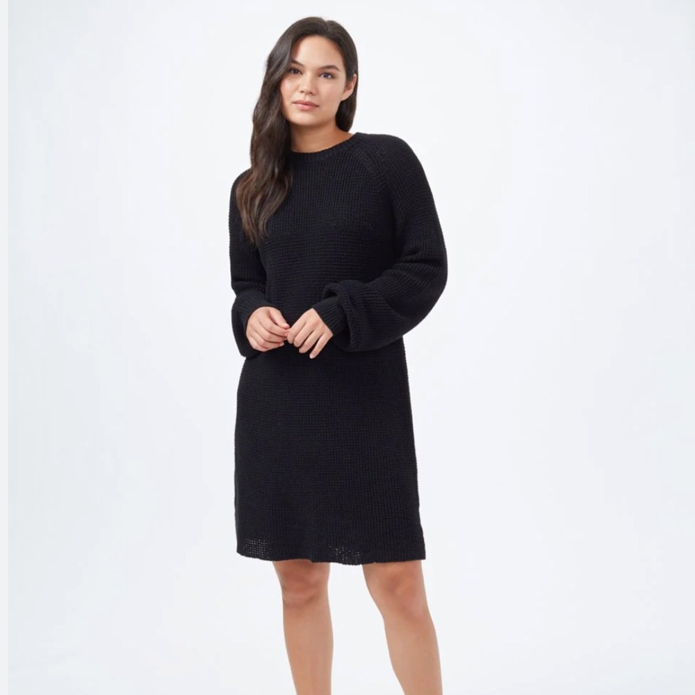 EUC Tentree Highline Crew Neck cotton women’s sweater dress